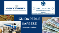 Guida per le imprese - Aiuti per il credito